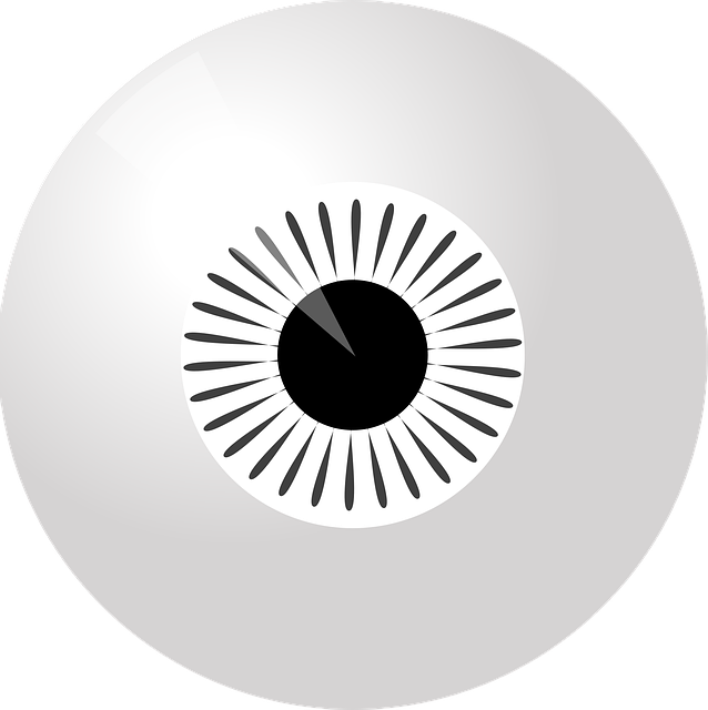 Free eyeball iris black vector