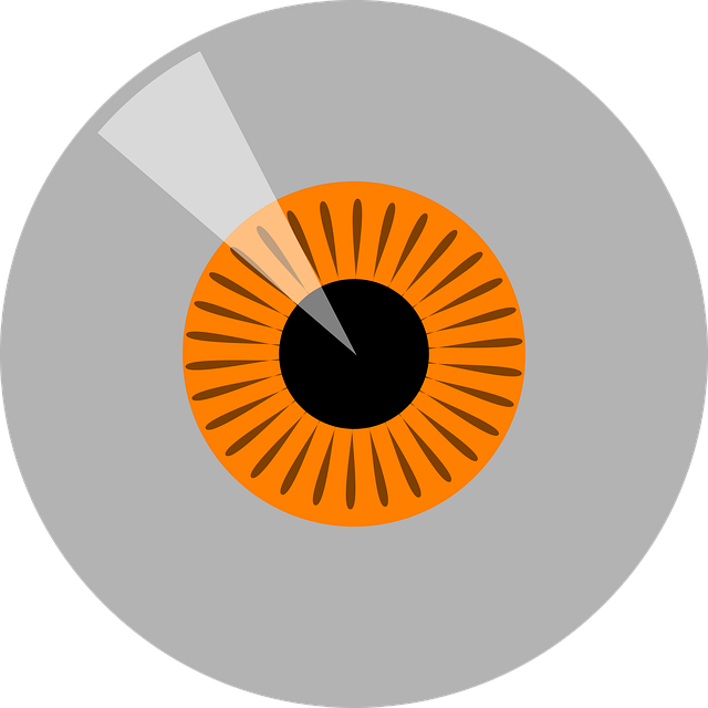 Free eyeball iris orange vector