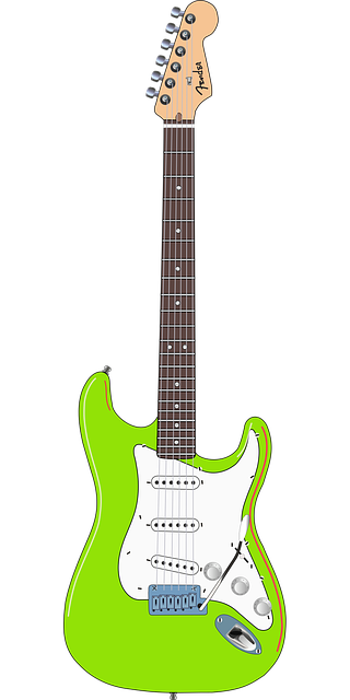 Free guitar instrument electric vector