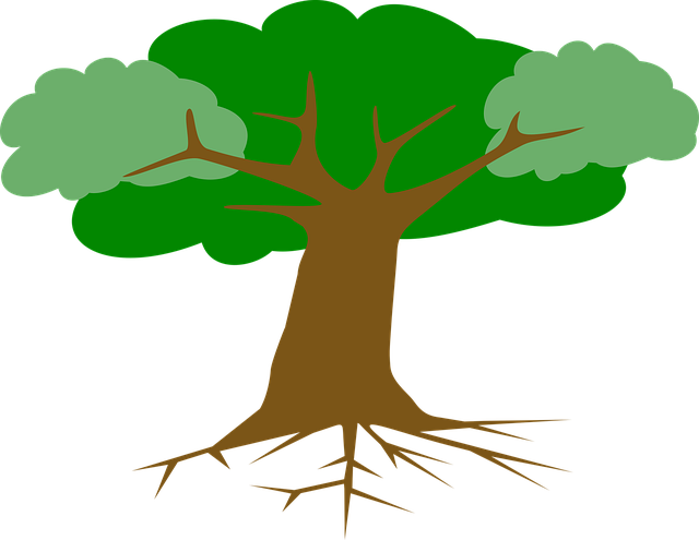 Free tree roots leaves vector
