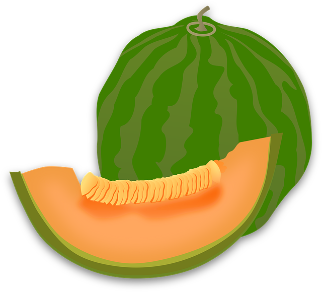 Free watermelon ripe slice illustration