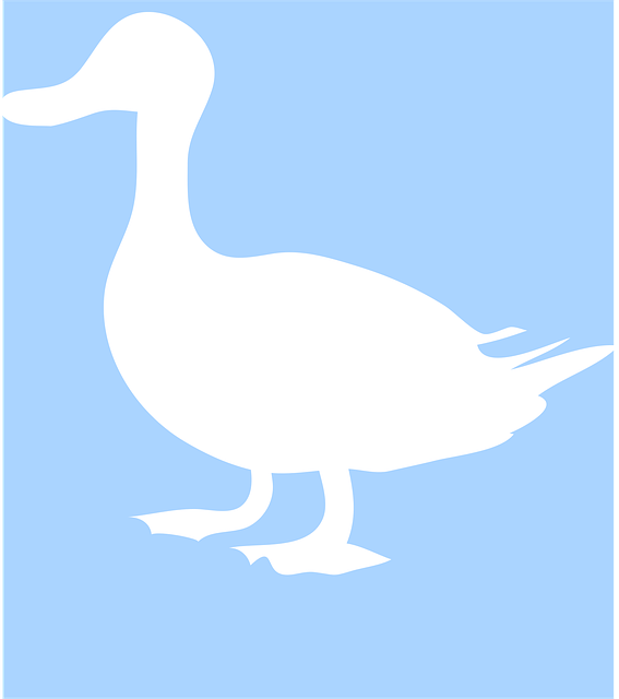 Free duck silhouette white illustration