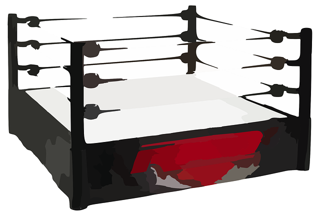 Free matt ring boxing vector