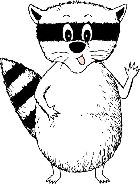 Free raccoon smiling nature vector