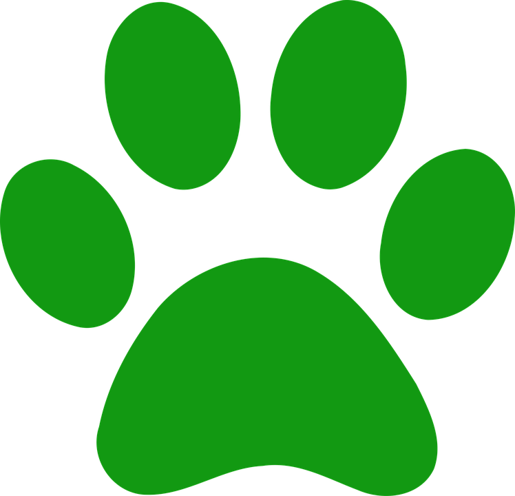 Patas De Impresi n Perro Gr ficos Vectoriales Gratis En Pixabay