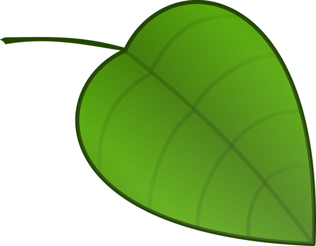 Free leaf nature nerves vector
