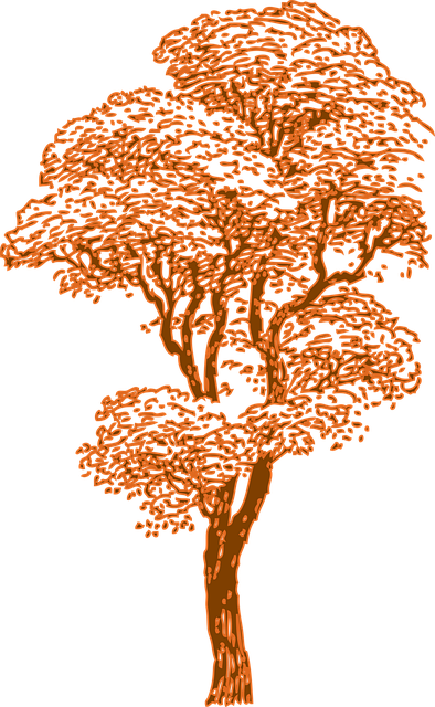 Free tree huge birch vector