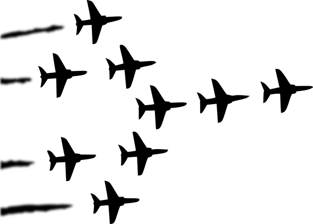 Free plane military formation vector