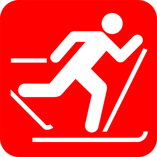 Free skier sports activity vector
