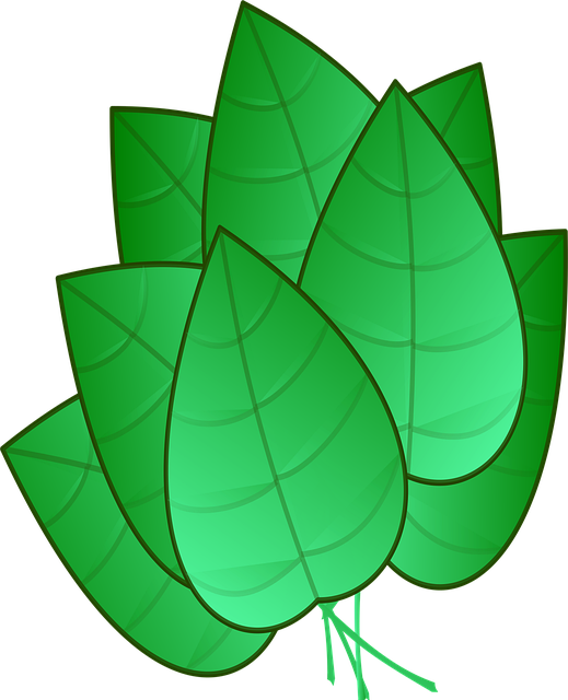 Free leaves green bunch vector