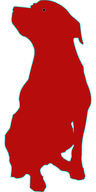 Free dog sit wait vector