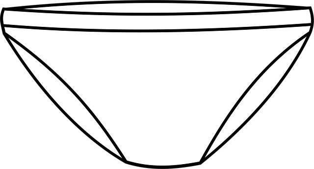 Free undies slipper underwear vector