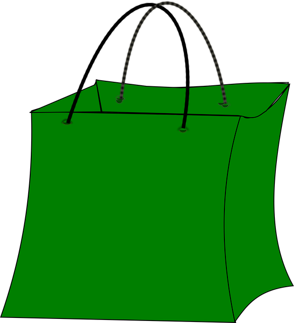 Free bag shopping green vector