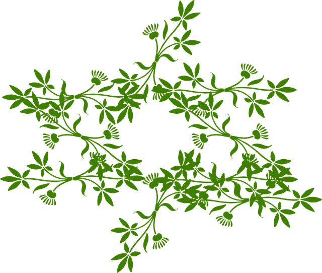 Free floral ornament star vector