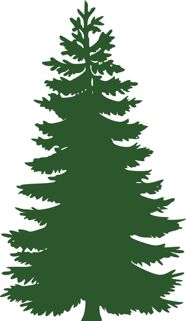 Árbol, Conífera, Pino, Verde, Navidad