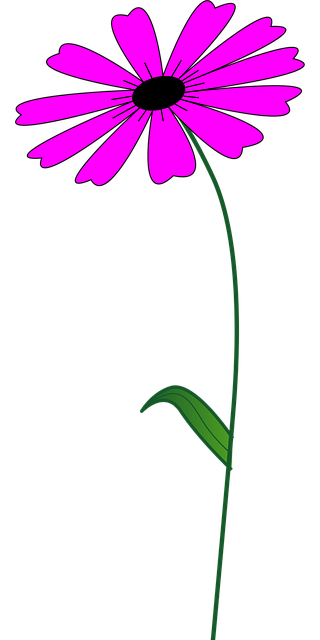 Free flower pink bright vector