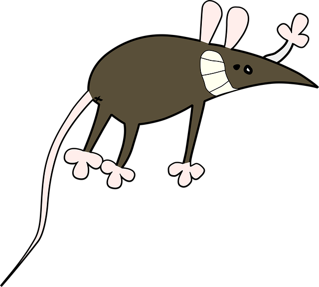 Free mouse rat animal illustration