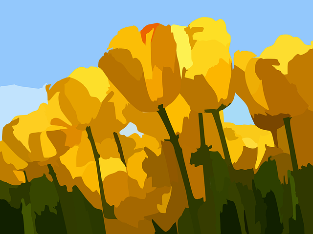 Free tulips flower tulip vector