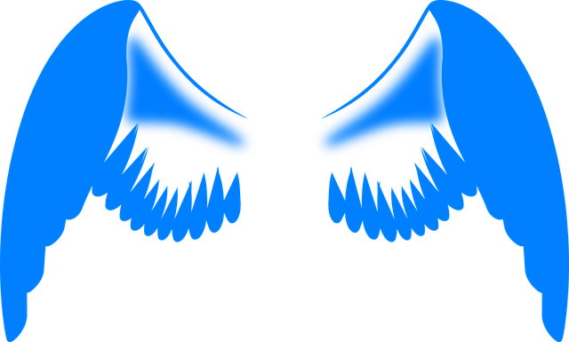 Free wings angel feathers vector
