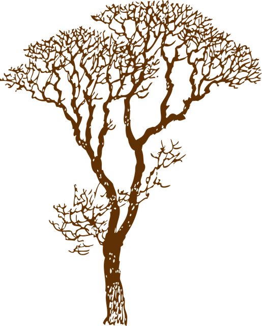 Free tree bare ecology vector