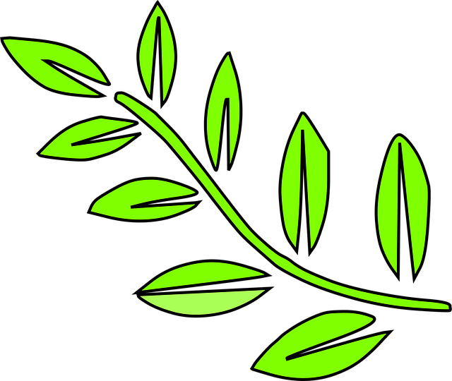 Free leaf twig plant vector