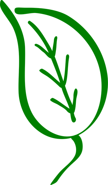Free leaf green nature vector