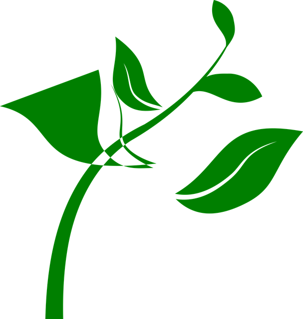 Free plant design leaves vector