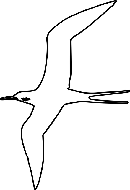 Free swallow martin fly vector