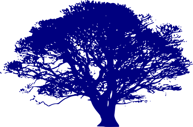 Baum, Natur, Umgebung, Ökologie