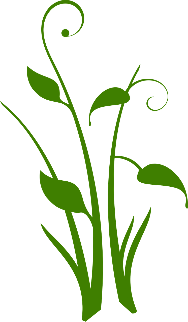 Verde Planta Diseño Floral · Gráficos vectoriales gratis en Pixabay