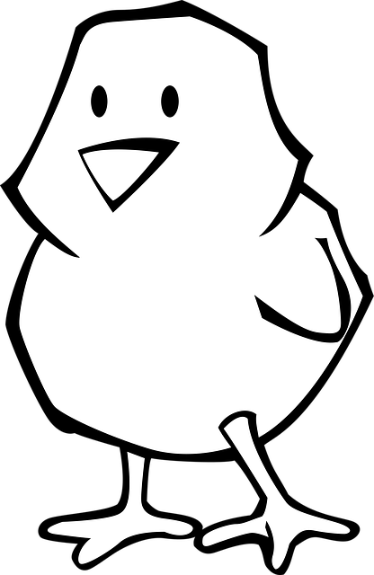 Free chick fledgling poult illustration