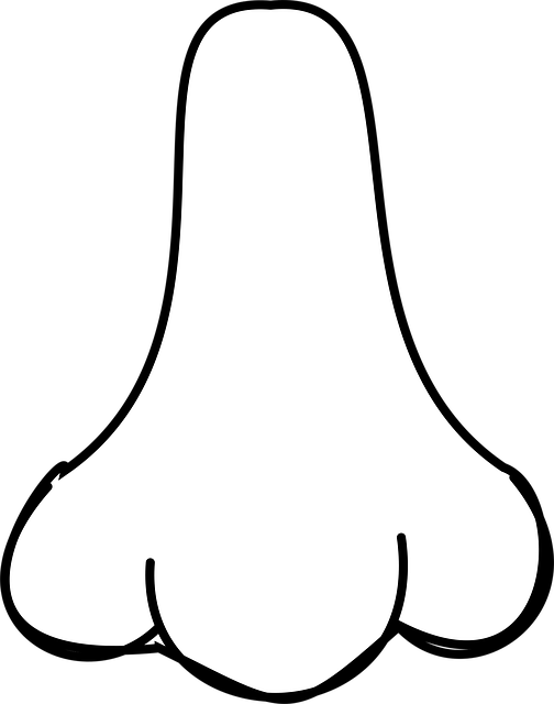 Nose Nostril Human Free Vector Graphic On Pixabay