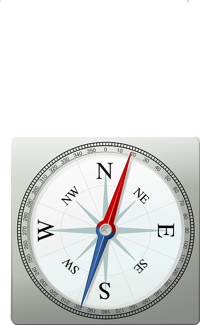Free gyro compass magnetic metal vector