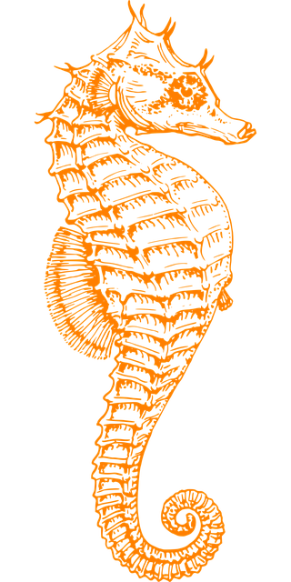 Free seahorse ocean sea life vector