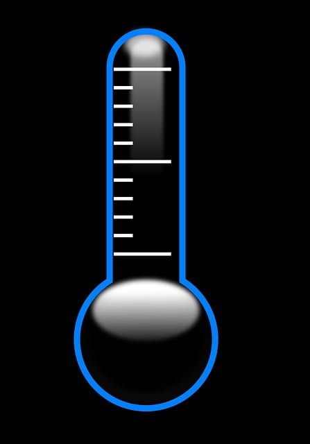 Free thermometer temperature celsius vector