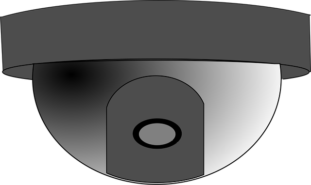 Download free HD stock image of Survey Camera Free survey camera security vector