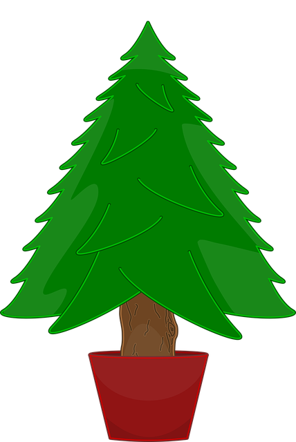 Árbol, Naturaleza, Navidad, Verde
