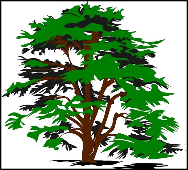 Free tree huge leaves vector