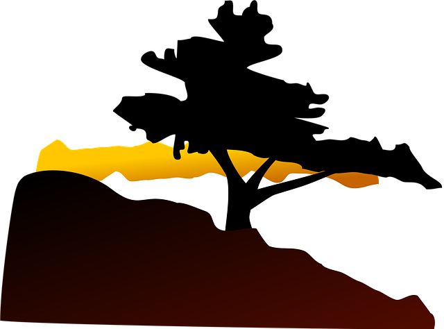 Free tree hill sunset vector