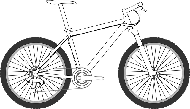 Bjerg, Cykel, Sport, Snylteri, Natur