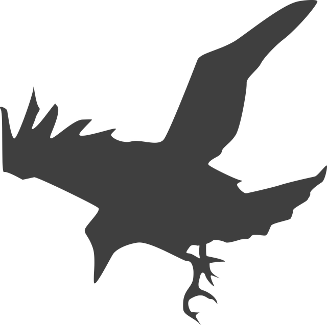 Free crow bird black vector