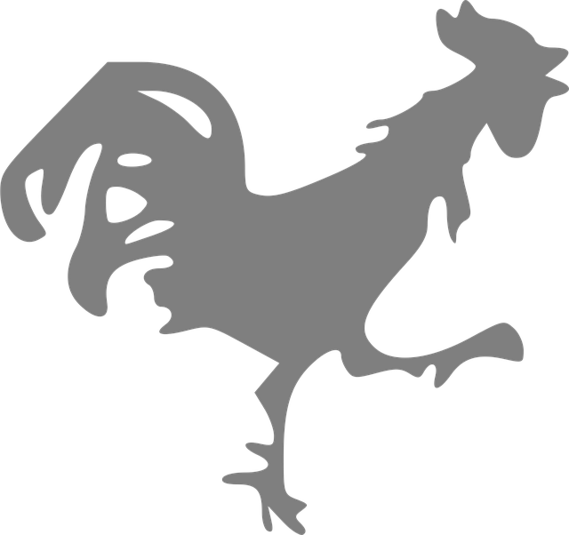 Free rooster running slim vector