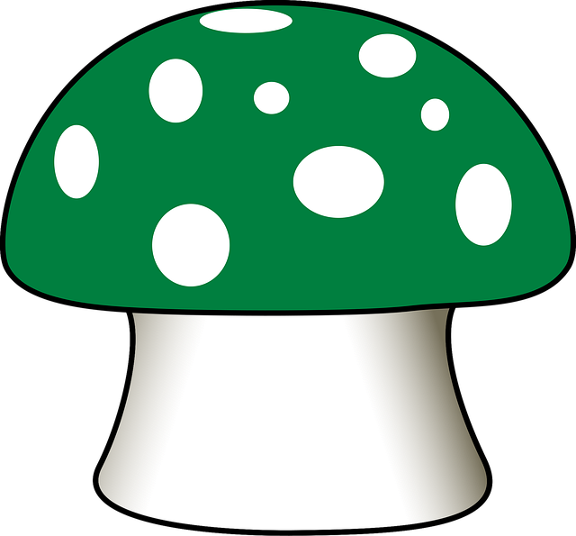 Free mushroom fly agaric green illustration