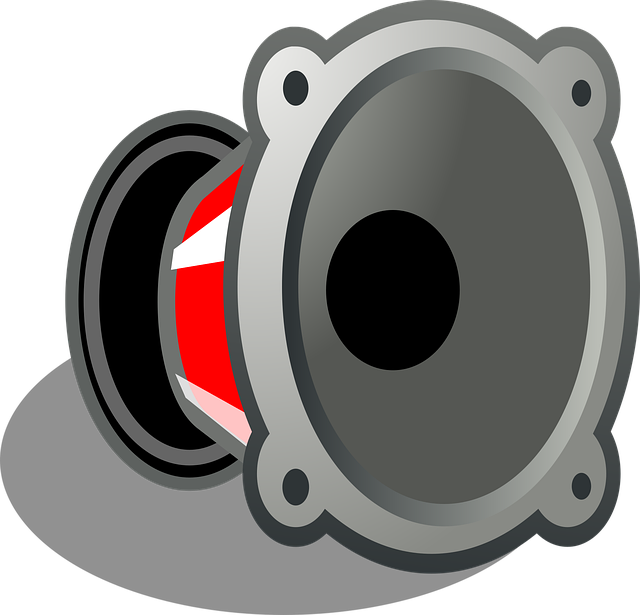 Free speaker loud tweeter vector