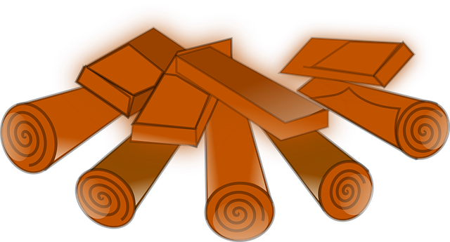 Free wood camp heat vector