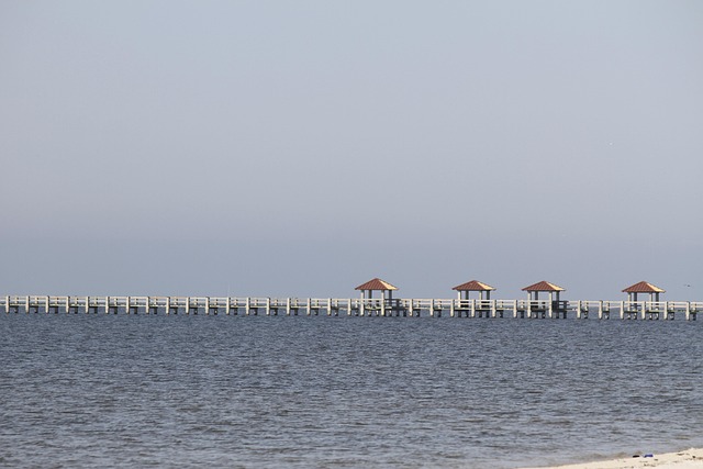 Free Pier Gulf Of Mexico photo and picture