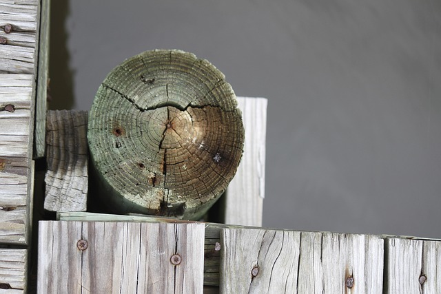Free Pier Water photo and picture