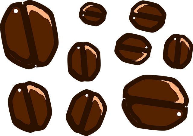 Free coffee bean mocha vector