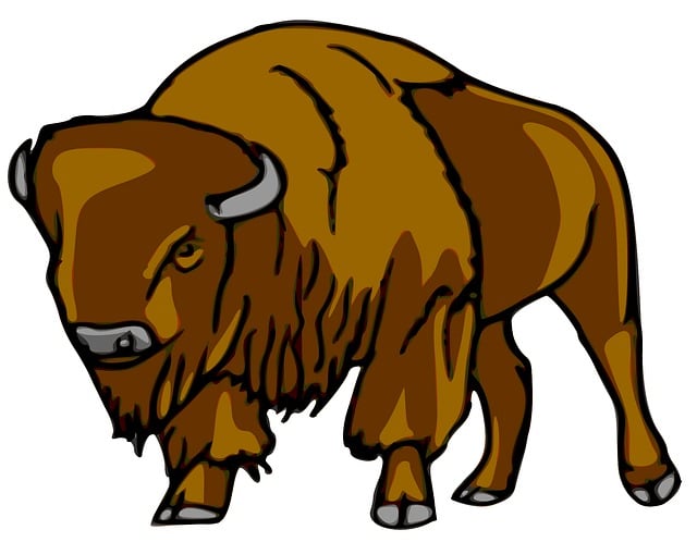 Free bison mammal animal vector