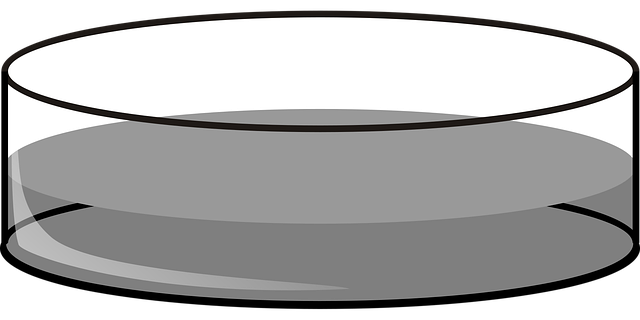 Free petri dish deep lab vector